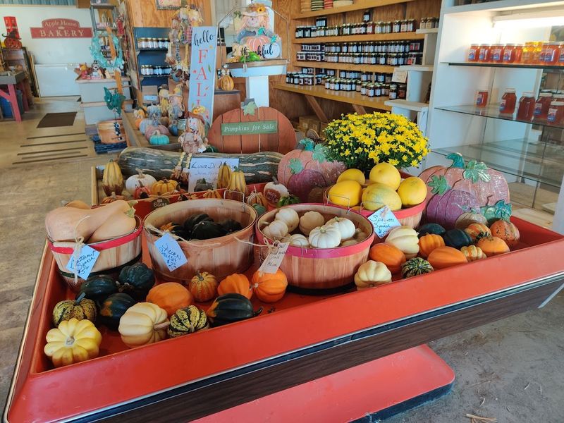 A market barn packed with more than fruit A market barn packed with more than fruit