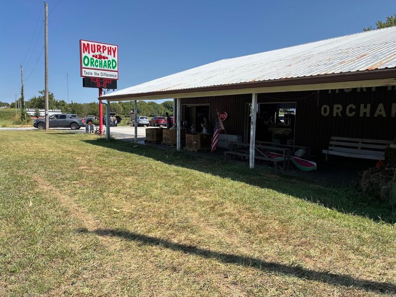 A roadside stop that feels like classic Missouri A roadside stop that feels like classic Missouri