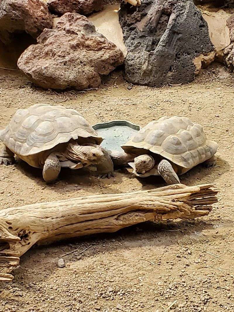 A small zoo that rewards the right expectations
