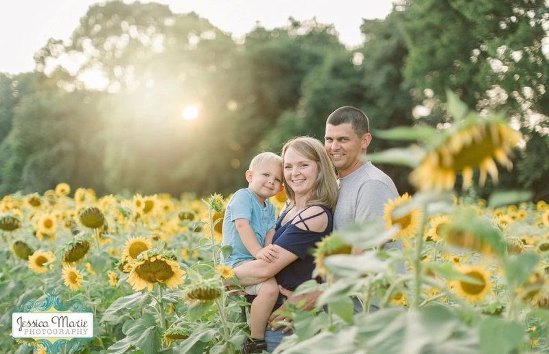 A sunflower trail that instantly feels magical A sunflower trail that instantly feels magical