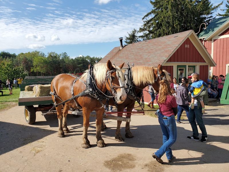 A winery visit wrapped in orchard scenery