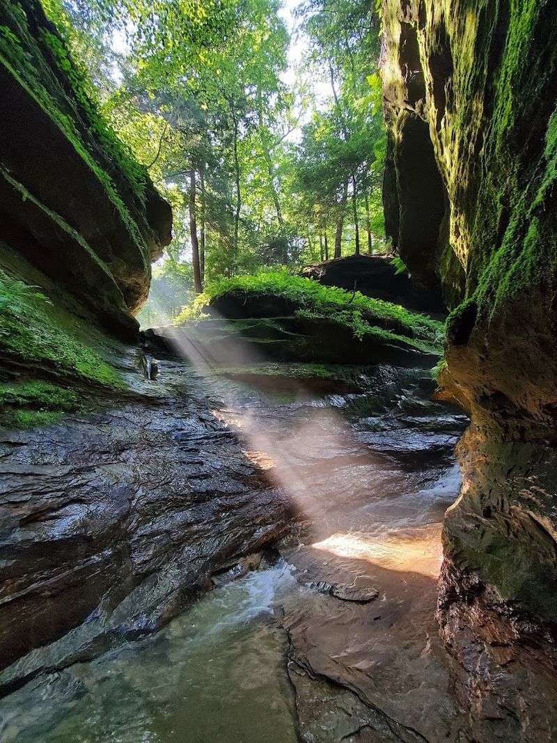 Turkey Run State Park (Marshall) Turkey Run State Park (Marshall)