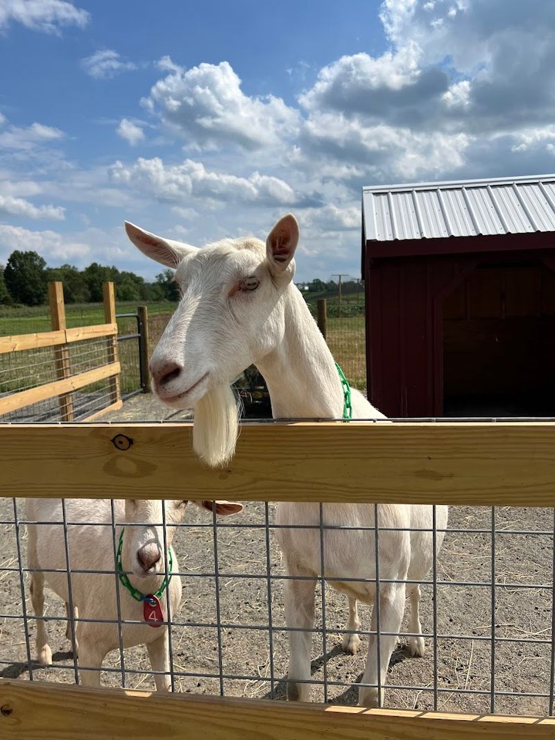 Abma’s Farm - Wyckoff and Hillsborough