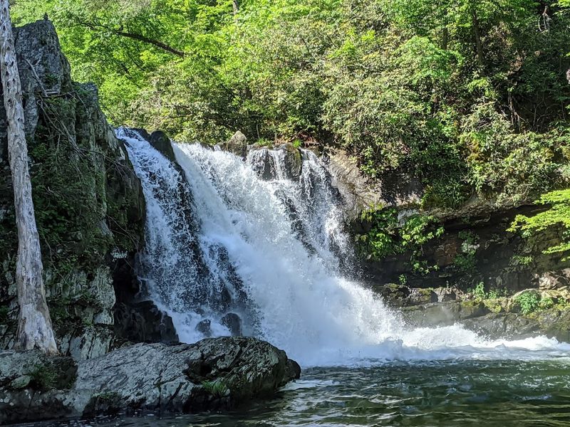 Abrams Falls Trail – Great Smoky Mountains National Park Abrams Falls Trail – Great Smoky Mountains National Park