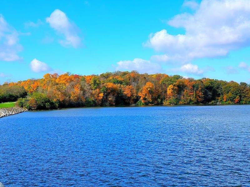 Acton Lake Adds Open Water To The Woodland Beauty Acton Lake Adds Open Water To The Woodland Beauty