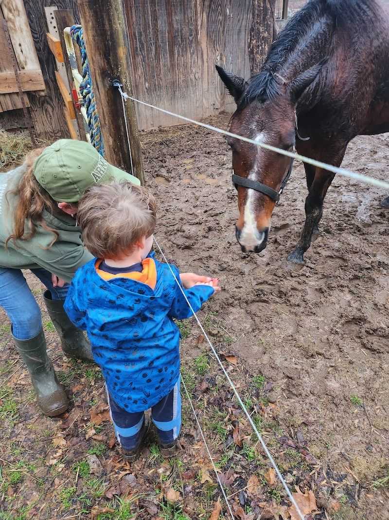Adorable Petting Farm With Baby Animals Adorable Petting Farm With Baby Animals
