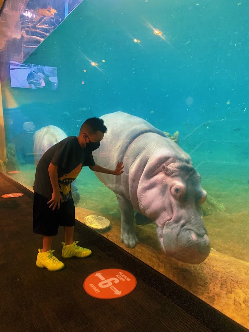 Adventure Aquarium - Camden