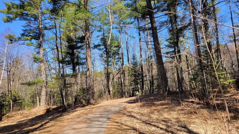 Al Quaal in Michigan: A Recreation Area That Earns Its Reputation Year-Round