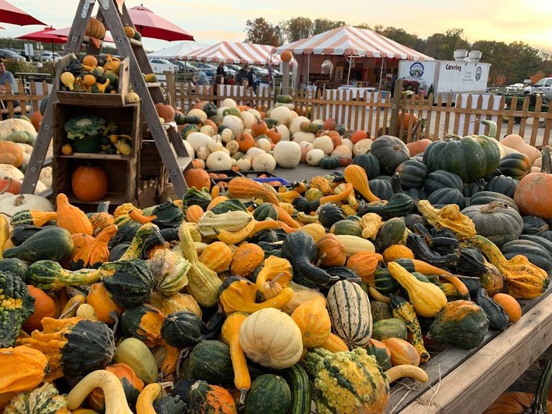 Alstede Farms - Chester Alstede Farms - Chester