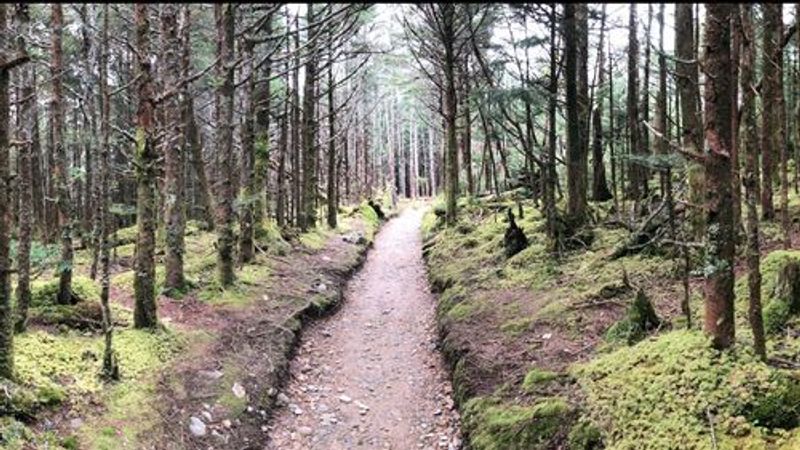 Alum Cave Trail — Great Smoky Mountains National Park Alum Cave Trail — Great Smoky Mountains National Park