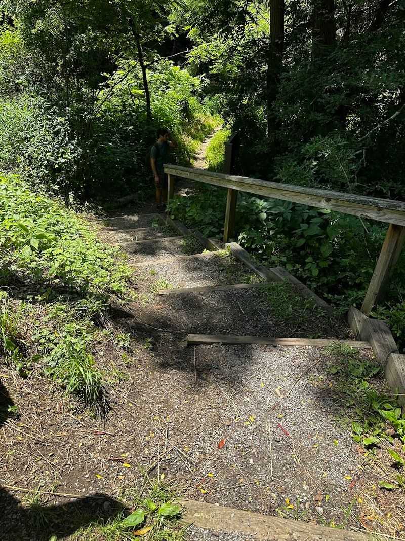 An Easygoing Hike With Just Enough Adventure For Families