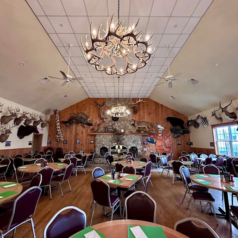 An unassuming Mount Arlington pub hides a full-blown wilderness spectacle