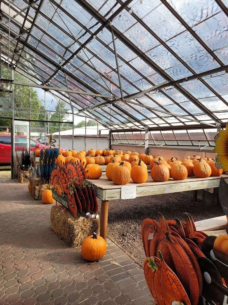 Apple Cider, Donuts, and Scratch-Made Treats Make the Bakery Impossible to Pass