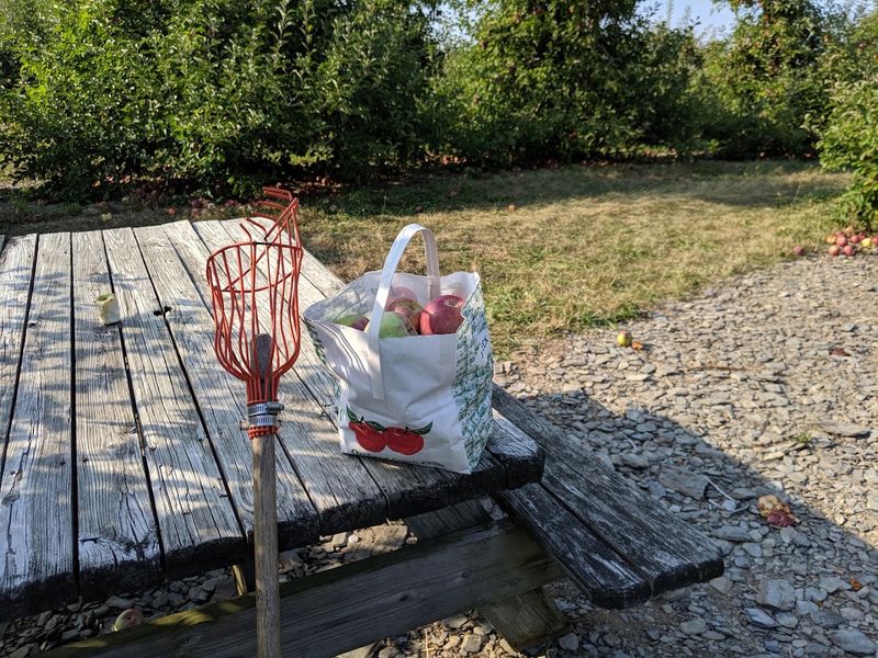 Apple Picking and Pizza Nights Turn an Ice Cream Stop Into a Country Escape