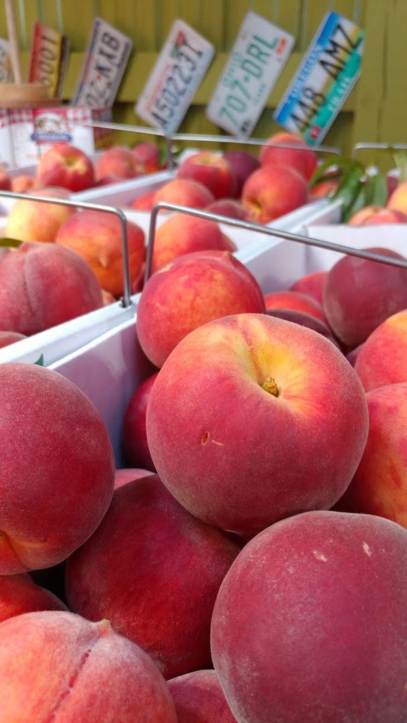 August Is When Peach Season Truly Shines August Is When Peach Season Truly Shines