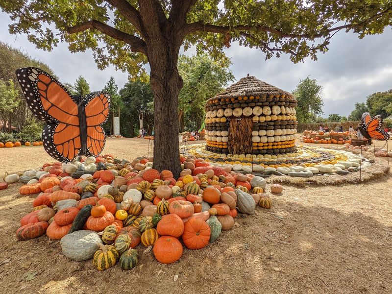 Autumn Pumpkin Village and Foliage Autumn Pumpkin Village and Foliage