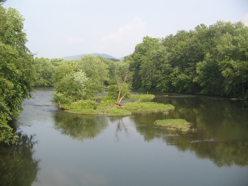 Bald Eagle Creek Bald Eagle Creek