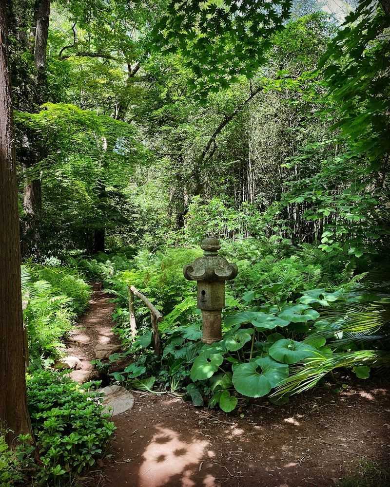 Bamboo Brook Next Door Turns a Quiet Visit Into a Bigger Adventure Bamboo Brook Next Door Turns a Quiet Visit Into a Bigger Adventure