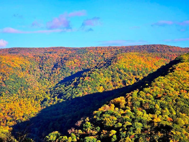 Baughman Trail, Ohiopyle State Park, Ohiopyle, Pennsylvania