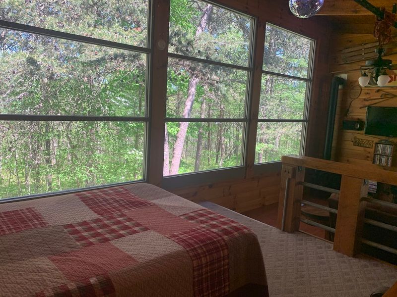 Beautiful windows and woodland views Beautiful windows and woodland views