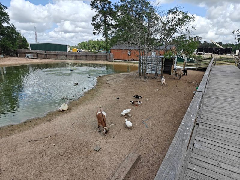 Beyond Gators: Farm Animals And Exotic Birds Beyond Gators: Farm Animals And Exotic Birds
