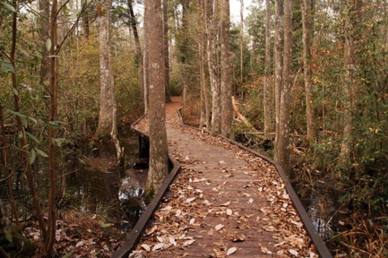 Big Thicket National Preserve (Kountze) Big Thicket National Preserve (Kountze)