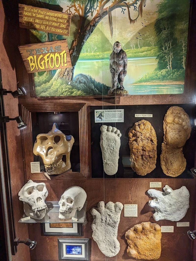 Bigfoot Tracks and Evidence Wall Bigfoot Tracks and Evidence Wall