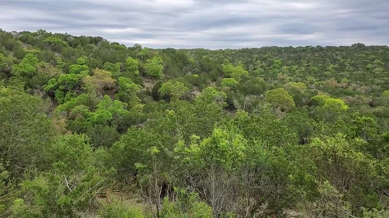 Bird Blinds And Hill Country Birding Bird Blinds And Hill Country Birding