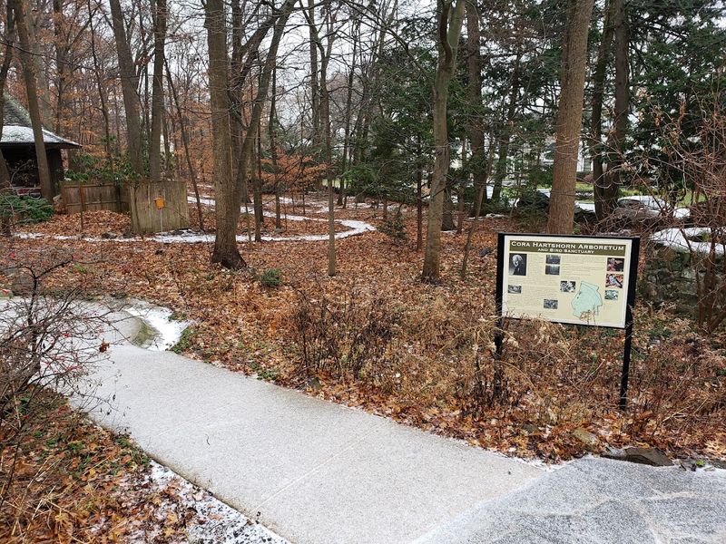 Birds and Other Wildlife Thrive in This Carefully Restored Habitat Birds and Other Wildlife Thrive in This Carefully Restored Habitat