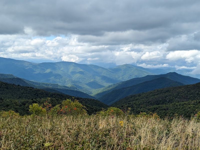 Black Balsam Knob (Canton) Black Balsam Knob (Canton)