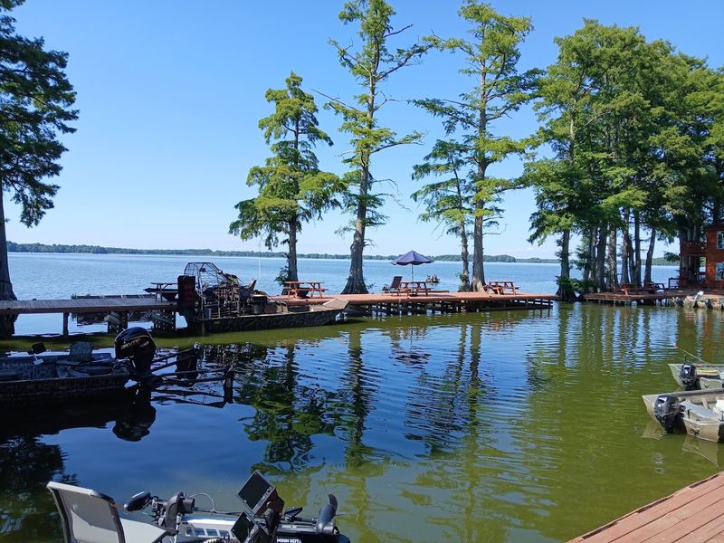 Blue Bank Fish House & Grill — Hornbeak Blue Bank Fish House & Grill — Hornbeak