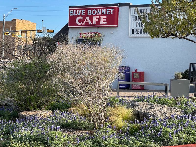 Blue Bonnet Cafe Pie Pilgrimage