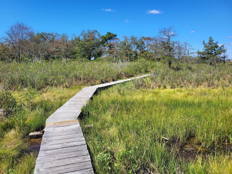 Boardwalks Lead to Quiet Beaches and Sweeping Barnegat Bay Views Boardwalks Lead to Quiet Beaches and Sweeping Barnegat Bay Views