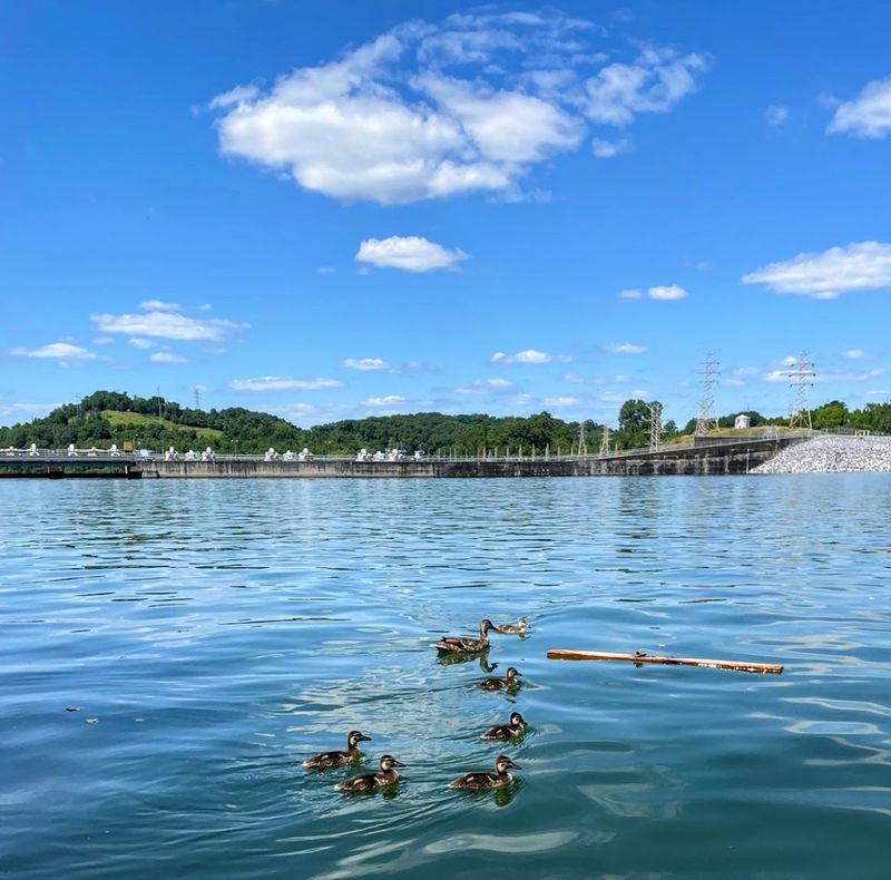 Boone Lake