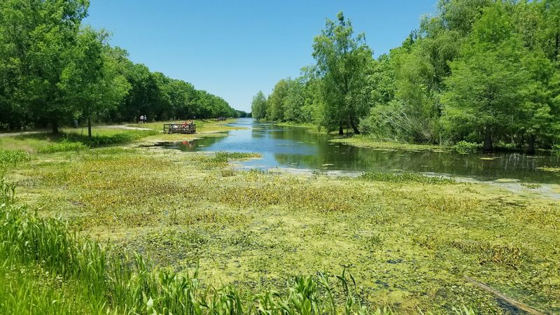 Brazos Bend State Park (Needville)