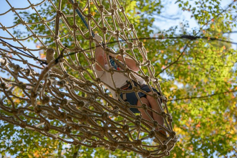 Bridges, Nets and Ziplines Turn the Forest Into a Playground Bridges, Nets and Ziplines Turn the Forest Into a Playground