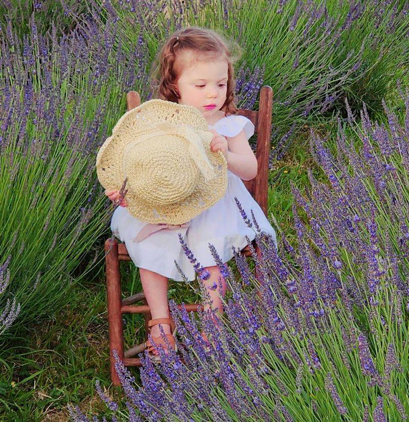 Bring Your Camera for the Dreamiest Photo Opportunities Bring Your Camera for the Dreamiest Photo Opportunities