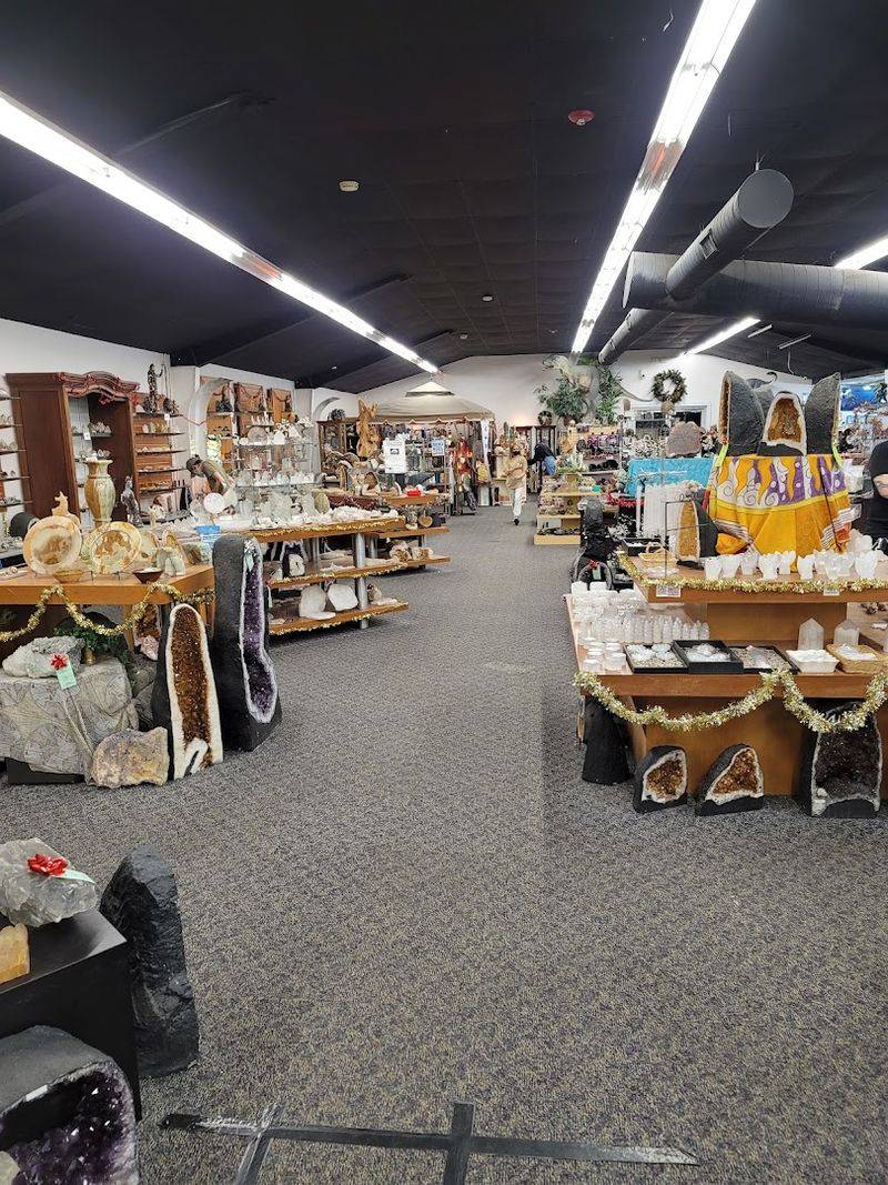 Budget-Friendly Options That Welcome Every Collector Budget-Friendly Options That Welcome Every Collector
