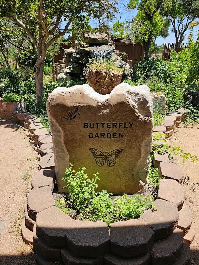 Butterfly Garden Experience Butterfly Garden Experience