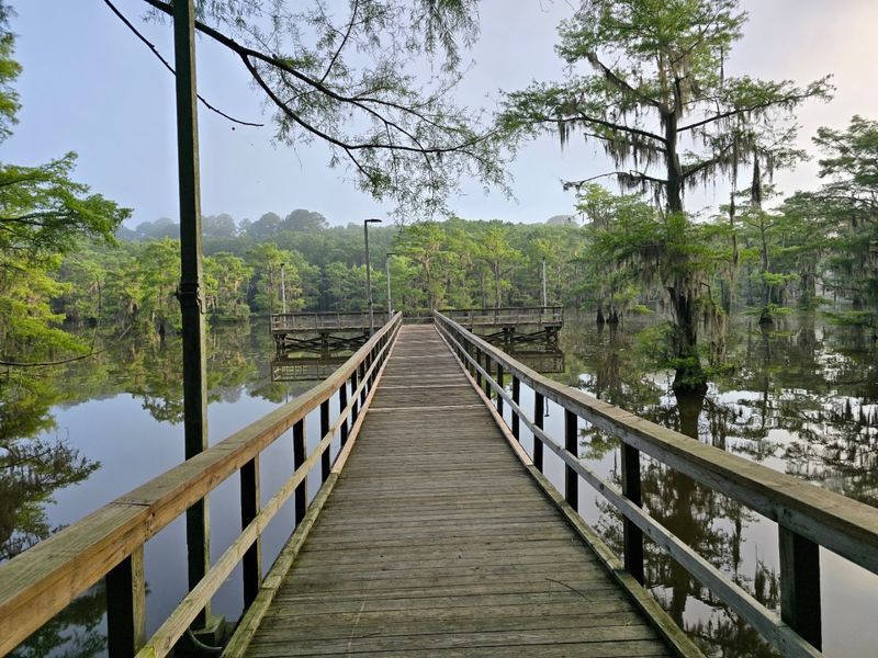 Caddo Lake State Park (Karnack)