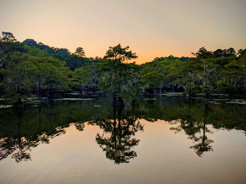 Caddo Lake State Park (Karnack) Caddo Lake State Park (Karnack)