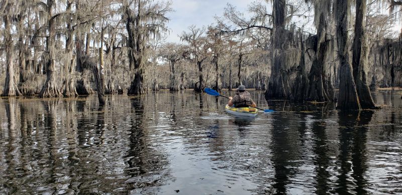 Caddo Lake State Park (Karnack)