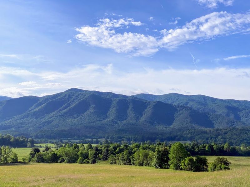 Cades Cove Loop Road