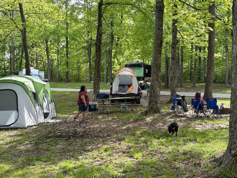 Camping, Cabins, And A Longer Stay Temptation