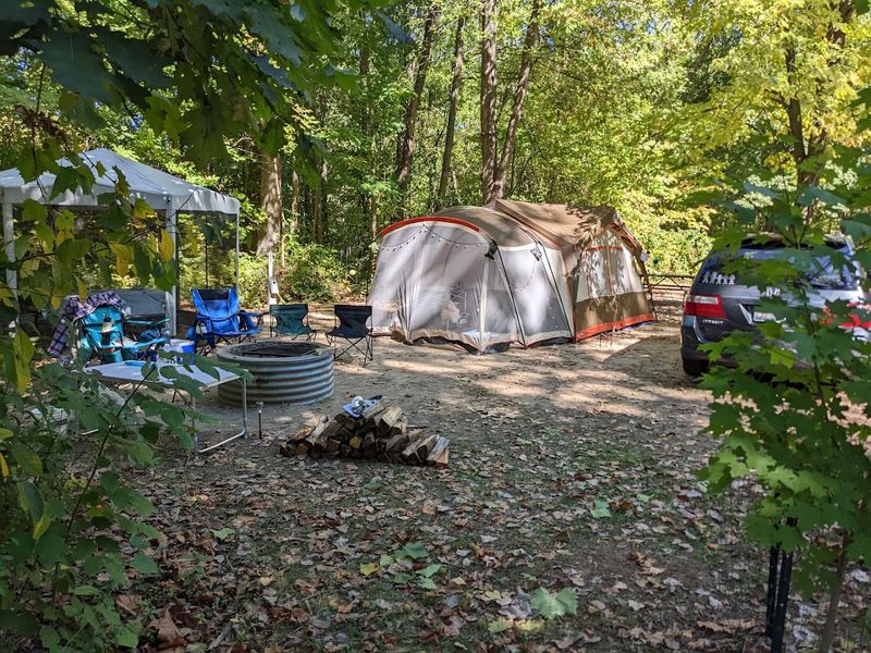 Camping Inside the Park: Closer Than You Think Camping Inside the Park: Closer Than You Think