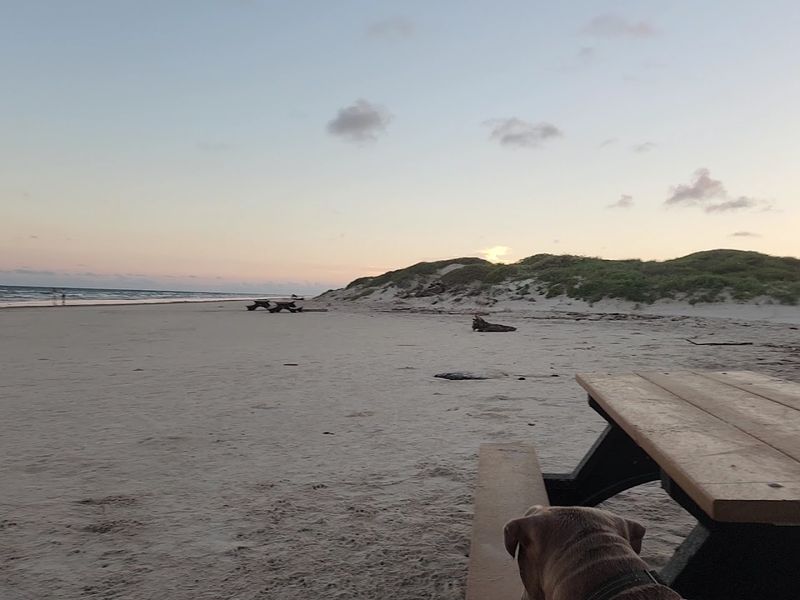 Camping Right on the Beach Camping Right on the Beach