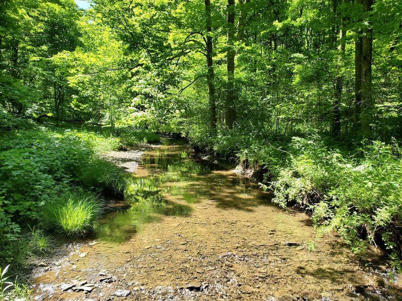 Camping here feels simple, shaded, and wonderfully quiet Camping here feels simple, shaded, and wonderfully quiet