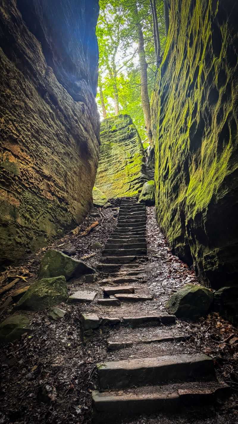 Cantwell Cliffs, Rockbridge
