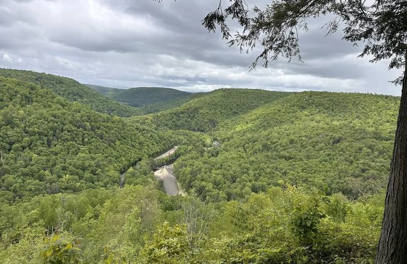 Canyon Vista Trail, Worlds End State Park, Forksville, Pennsylvania