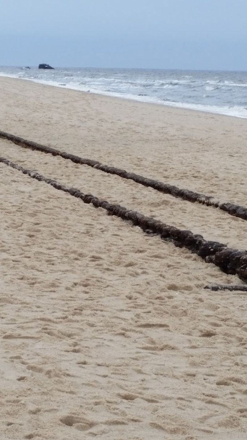 Cape May Diamonds and Forgotten Railroad Tracks Hide in the Sand